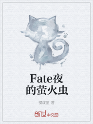 Fate夜的萤火虫