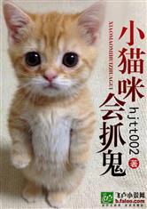 小猫咪会抓鬼